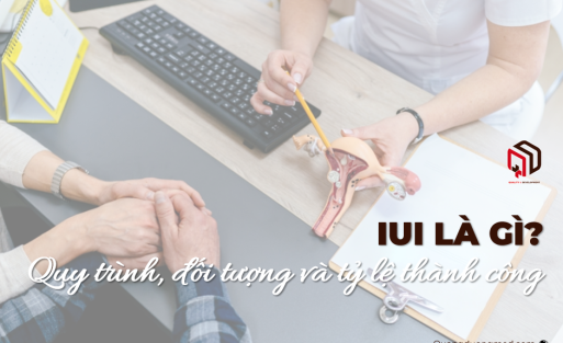 iui-la-gi-quy-trinh-doi-tuong-ty-le-thanh-cong